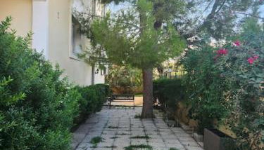 Peaceful oasis - Foto 4