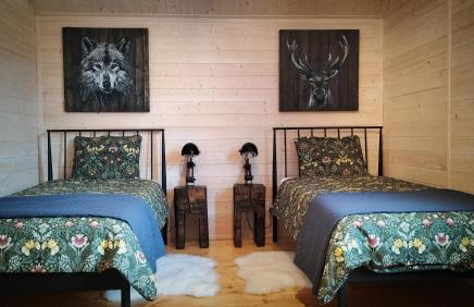 Domek Dzikie Lisko - Foto 6