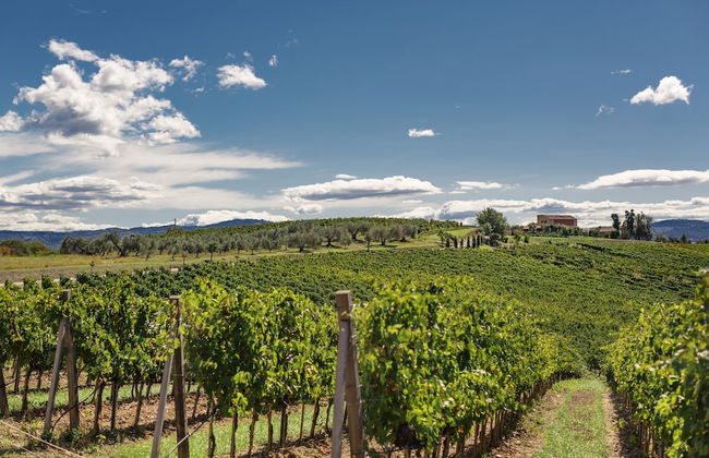 Pecora Vecchia - ColleMassari Hospitality - Photo 1