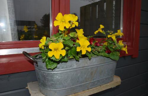 The Cosy Cabin - Foto 13