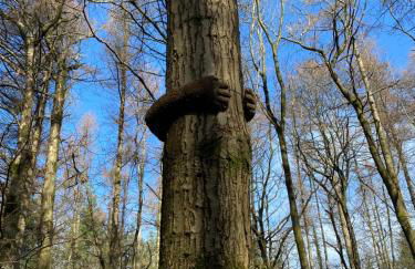 Willow Cottage - Foto 31