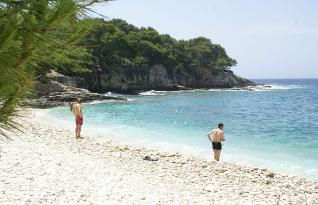 Traditional House With two Apartments - Foto 48