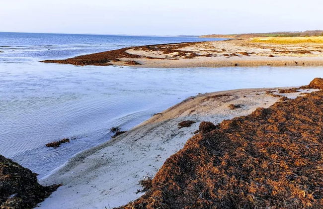 Simplistic Holiday Home in GÃ¸rlev near Sea - Photo 54