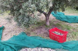 Apartment Haus am Meer in Sizilien by Interhome - Foto 19