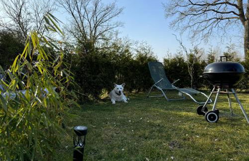 Ferienwohnung am See Dillich - Hunde willkommen - Eigener eingezäunter Garten - Ruhige Lage - Foto 19