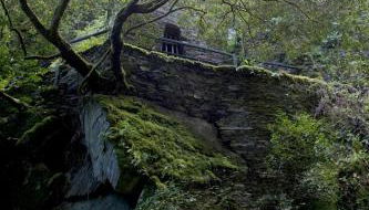 Piódão Casa do Rosmaninho TER - Foto 5