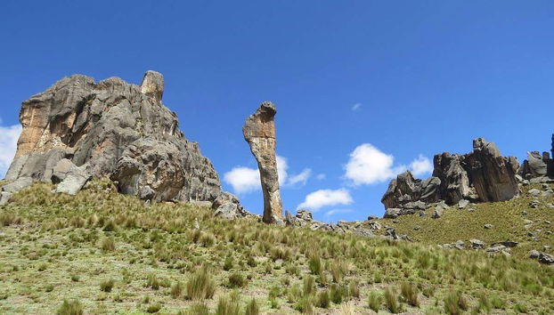 Huayllay National Sanctuary Day Trip - Foto 4