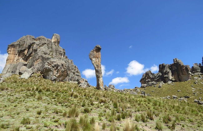 Escursione al Santuario Nazionale di Huayllay - Foto 8
