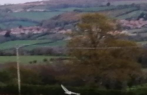 Luddie's Country Cottages - Rose Cottage - Foto 25