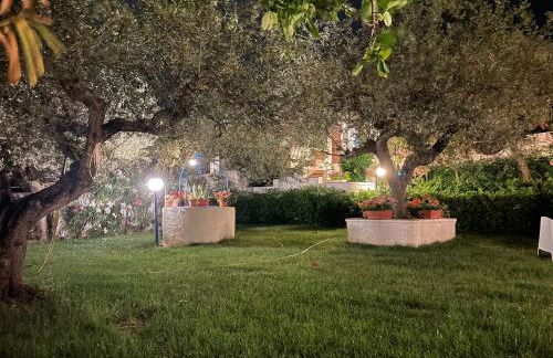 Il Giardino degli Ulivi - Foto 43