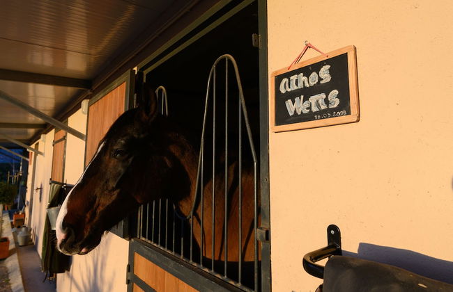 Laje da Bica Agroturismo - Foto 52