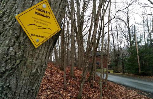 Beautiful Cabin with Hot Tub Surrounded by Trees in Confluence, Pennsylvania - Foto 16