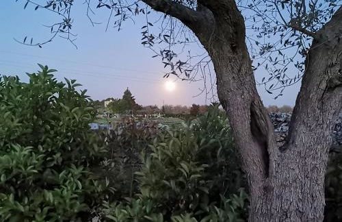 Villa Mios - Foto 29