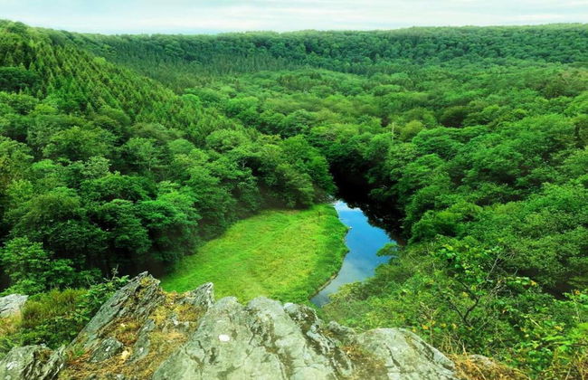 Family Villa Near Forest - Photo 19