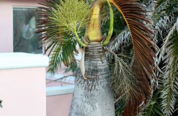 Salty Dog direct oceanfront luxurious retreat! - Foto 23