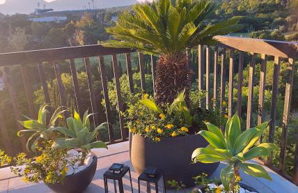 Gebel Grin - Foto 53