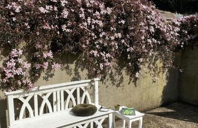 Little Woodbank - Foto 24