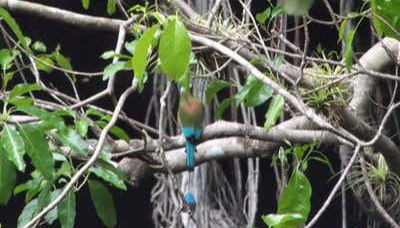 Cenote Yokdzonot Ticket - Foto 4