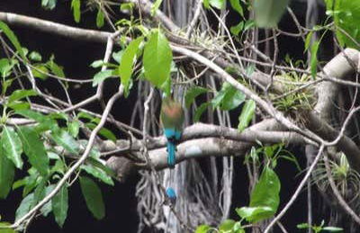 Cenote Yokdzonot Ticket - Foto 4