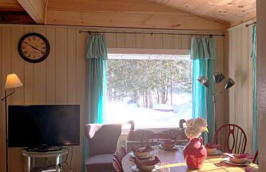 Cozy Cottage Rental with Lake Views near Okemo State Forest, Vermont - Foto 20