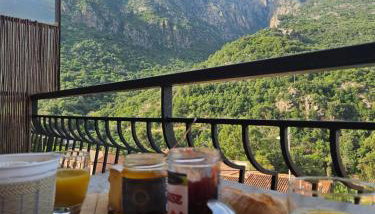 T2 vue mer & montagne Golfe de Porto-Ota - Foto 3