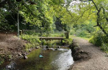 The Conifers 3 Room Small but Stylish Self Catering Bedsit Flat in Nature Reserve Free Eden taxi b4 9pm no lounge - Photo 22