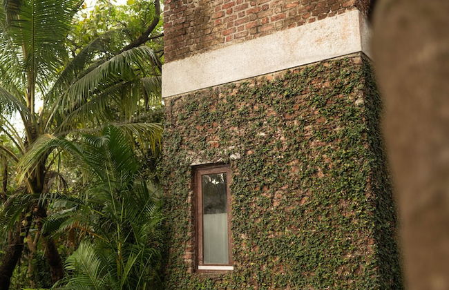 Amã Stays & Trails Asanji Wadi - Photo 24