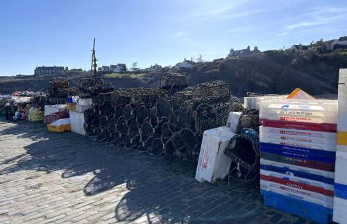 Rose Wynd Cottage-Close to beach - Foto 6