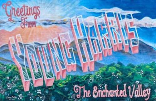 Mountain home, next to a Winery with a fire pit - Foto 4