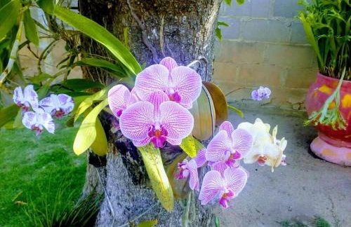 Casa com amplo quintal, churrasqueira e área verde - Foto 18