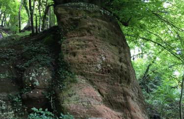 Sebastiana's FeWo - Foto 23