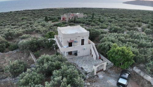 Mani Spot Nezoulas - Foto 4