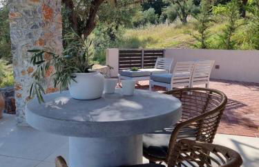 Stone build suite with private pool - Foto 17