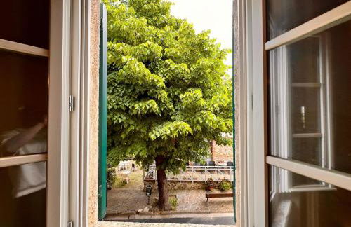 Noah Homes - Foto 14