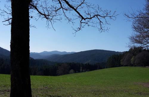 Sulzerhof - Photo 10