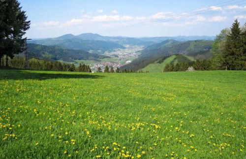 Comfortable Holiday Home in a Beautiful Location - Foto 112