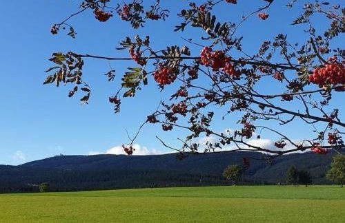 Apartment Fewo-Dorfblick by Interhome - Foto 24