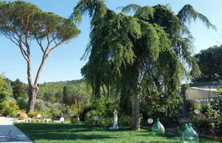 Villa Salviati - Foto 53