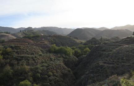 Casa rural Finca Don Amado, San Mateo - Foto 11