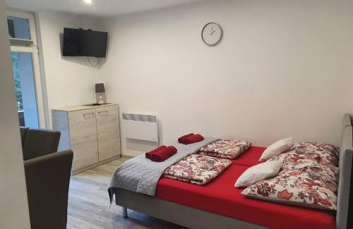 Apartamenty u Sikory - Foto 30