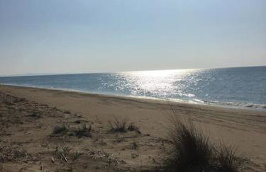 Villa Anastasia! in STROFYLIA pine FOREST!!! - Foto 17