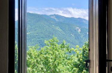 ΤΟ ΑΡΧΟΝΤΙΚΟ - Photo 41