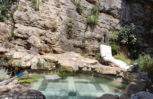 La casa del tartufo - Foto 11