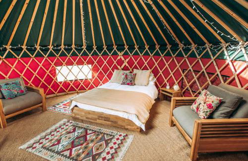 Timothy Yurt - Uk47889 - Foto 4