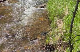 Cozy Cabin on the Creek - Foto 22