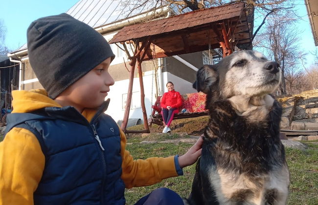 Rustic Wild Retreat IN Romania - Foto 30