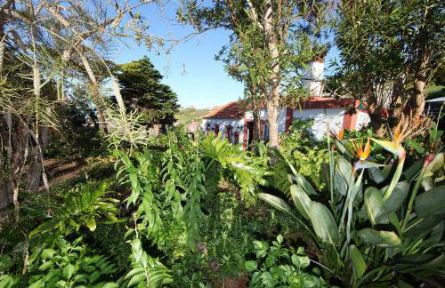 Casa do Ribeirinho - Foto 18