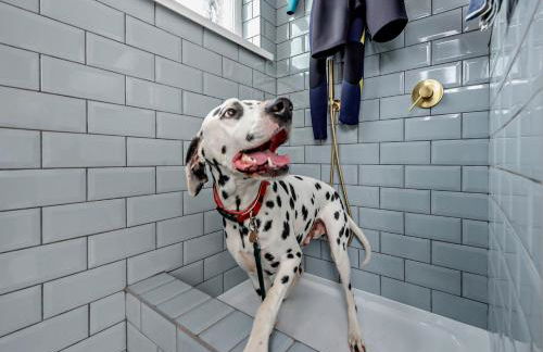 3 Bed in Aberarth 88788 - Foto 26