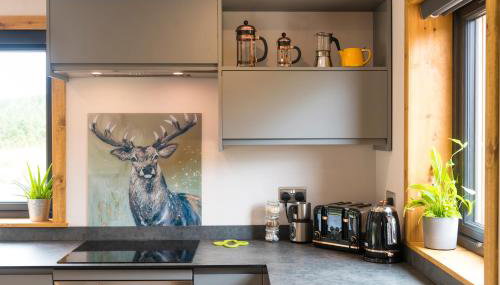 Luxury Cabins at Glenorchy Farm - Foto 3