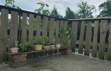 zielono mi - Foto 78